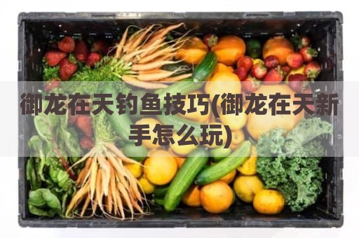 御龙在天钓鱼技巧(御龙在天新手怎么玩)