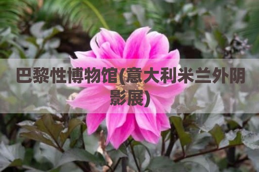 巴黎性博物馆(意大利米兰外阴影展)