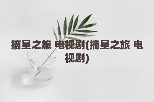 摘星之旅 电视剧(摘星之旅 电视剧)