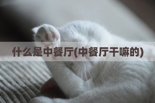 什么是中餐厅(中餐厅干嘛的)