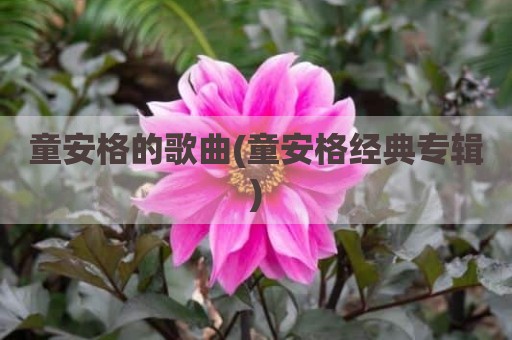 童安格的歌曲(童安格经典专辑)