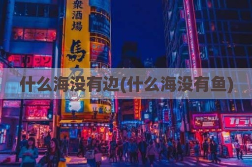 什么海没有边(什么海没有鱼)