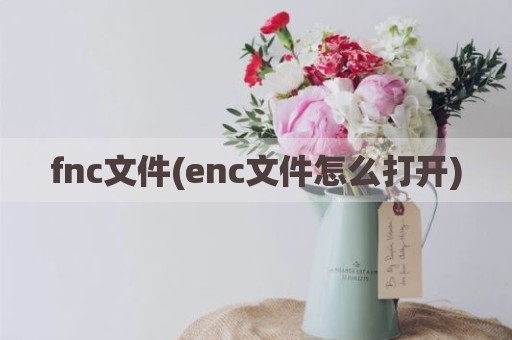 fnc文件(enc文件怎么打开)