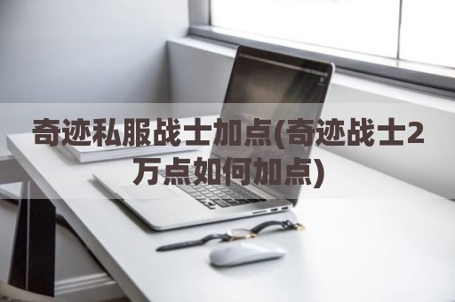 奇迹私服战士加点(奇迹战士2万点如何加点)