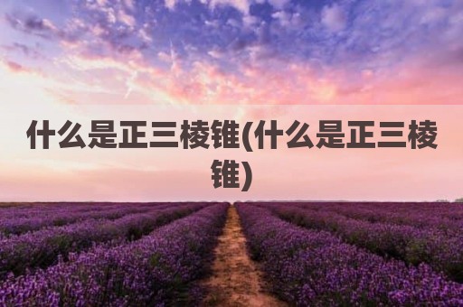 什么是正三棱锥(什么是正三棱锥)