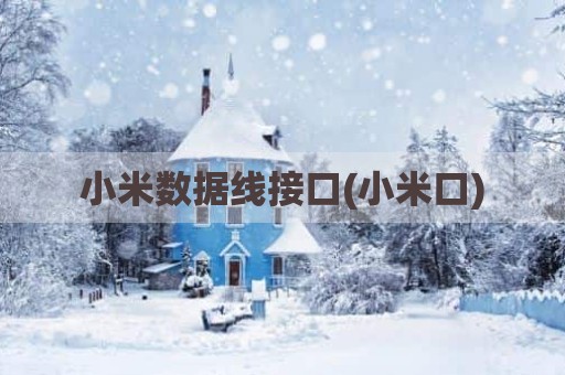 小米数据线接口(小米口)