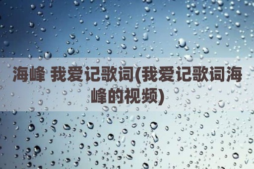 海峰 我爱记歌词(我爱记歌词海峰的视频)