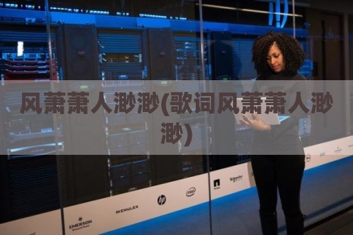 风萧萧人渺渺(歌词风萧萧人渺渺)