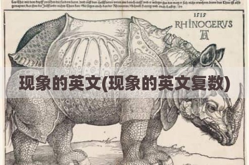 现象的英文(现象的英文复数)