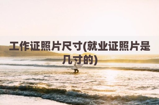 工作证照片尺寸(就业证照片是几寸的)