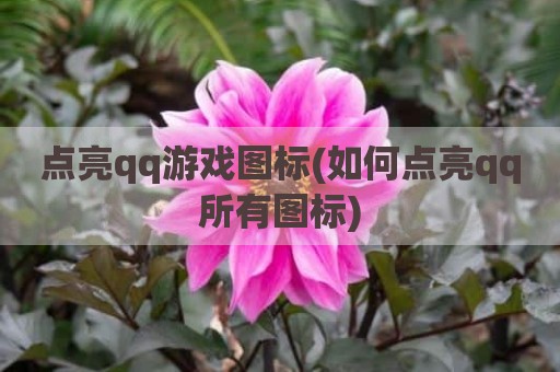 点亮qq游戏图标(如何点亮qq所有图标)