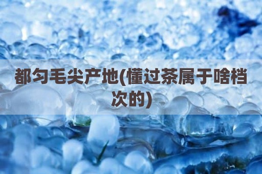都匀毛尖产地(懂过茶属于啥档次的)