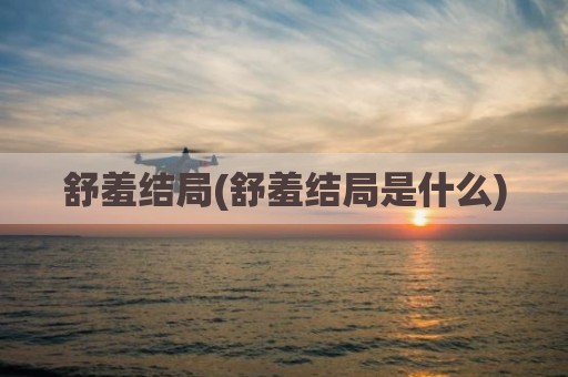 舒羞结局(舒羞结局是什么)