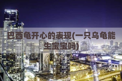 巴西龟开心的表现(一只乌龟能生宝宝吗)