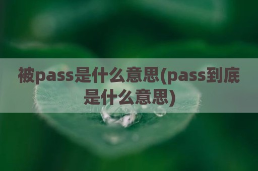 被pass是什么意思(pass到底是什么意思)