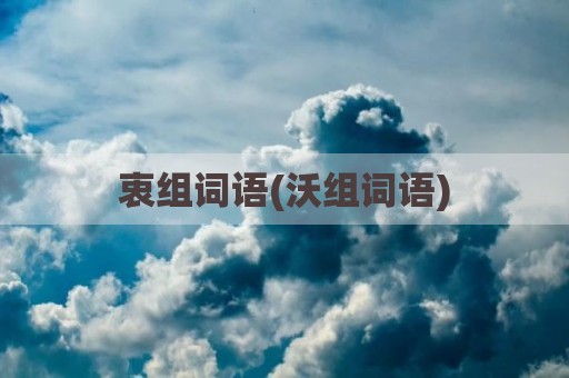 衷组词语(沃组词语)