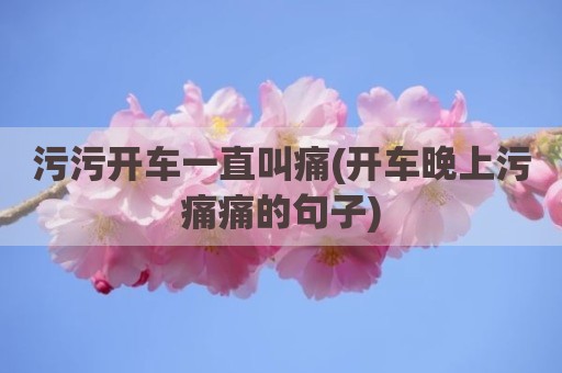 污污开车一直叫痛(开车晚上污痛痛的句子)