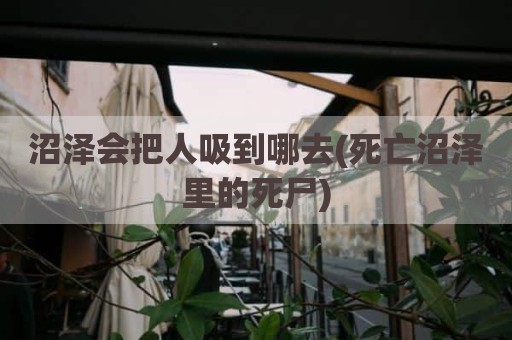 沼泽会把人吸到哪去(死亡沼泽里的死尸)