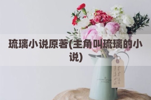 琉璃小说原著(主角叫琉璃的小说)