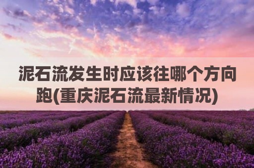 泥石流发生时应该往哪个方向跑(重庆泥石流最新情况)