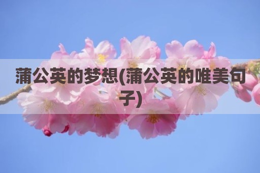 蒲公英的梦想(蒲公英的唯美句子)