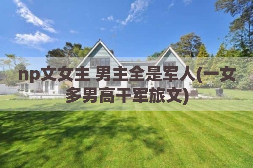 np文女主 男主全是军人(一女多男高干军旅文)