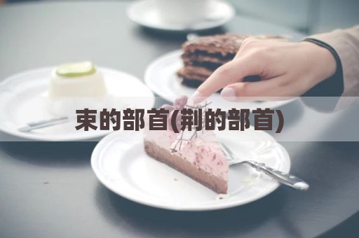 束的部首(荆的部首)