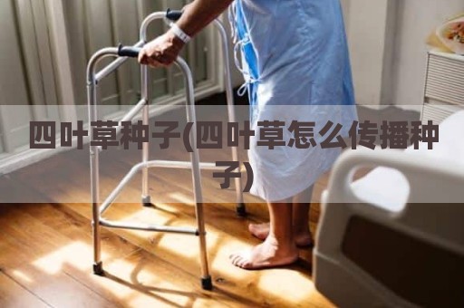 四叶草种子(四叶草怎么传播种子)