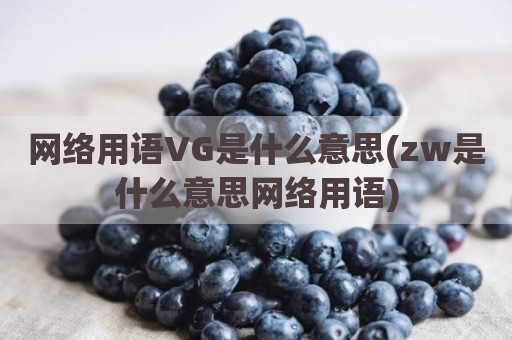 网络用语VG是什么意思(zw是什么意思网络用语)