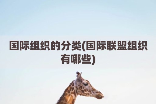 国际组织的分类(国际联盟组织有哪些)