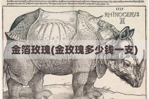 金箔玫瑰(金玫瑰多少钱一支)