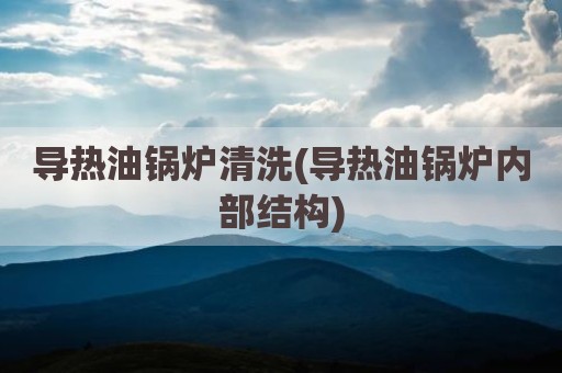 导热油锅炉清洗(导热油锅炉内部结构)