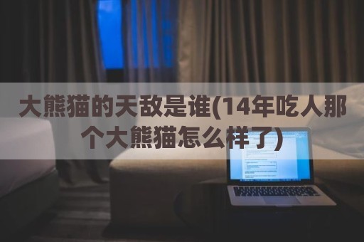 大熊猫的天敌是谁(14年吃人那个大熊猫怎么样了)
