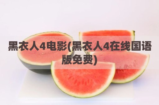 黑衣人4电影(黑衣人4在线国语版免费)