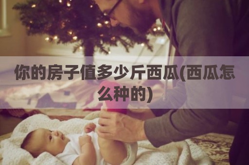 你的房子值多少斤西瓜(西瓜怎么种的)