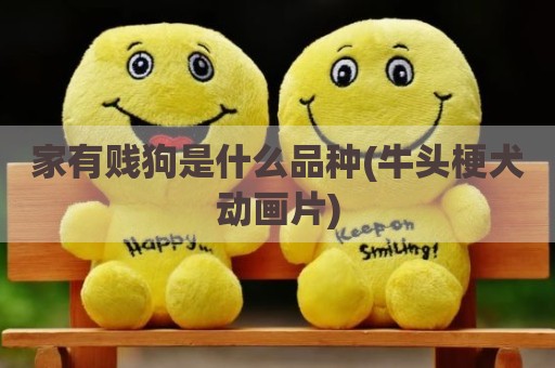 家有贱狗是什么品种(牛头梗犬动画片)