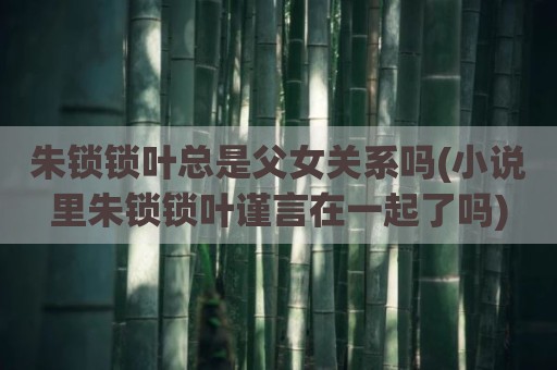 朱锁锁叶总是父女关系吗(小说里朱锁锁叶谨言在一起了吗)