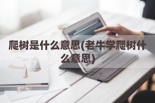 爬树是什么意思(老牛学爬树什么意思)