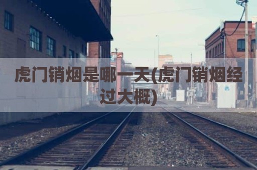 虎门销烟是哪一天(虎门销烟经过大概)