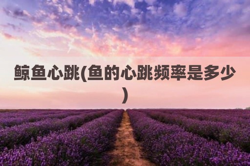鲸鱼心跳(鱼的心跳频率是多少)