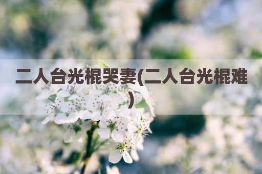 二人台光棍哭妻(二人台光棍难)
