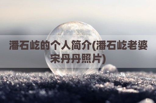 潘石屹的个人简介(潘石屹老婆宋丹丹照片)