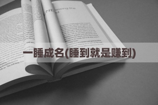 一睡成名(睡到就是赚到)