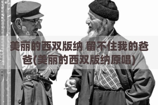 美丽的西双版纳 留不住我的爸爸(美丽的西双版纳原唱)