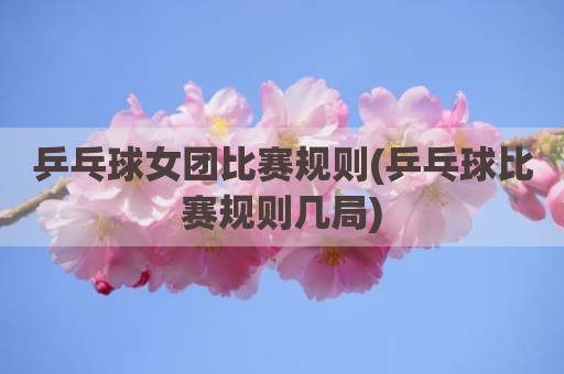 乒乓球女团比赛规则(乒乓球比赛规则几局)