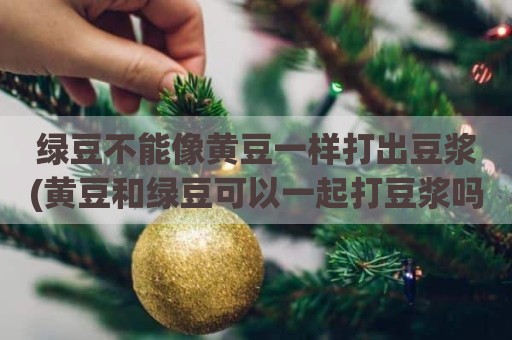 绿豆不能像黄豆一样打出豆浆(黄豆和绿豆可以一起打豆浆吗)