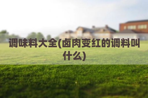 调味料大全(卤肉变红的调料叫什么)