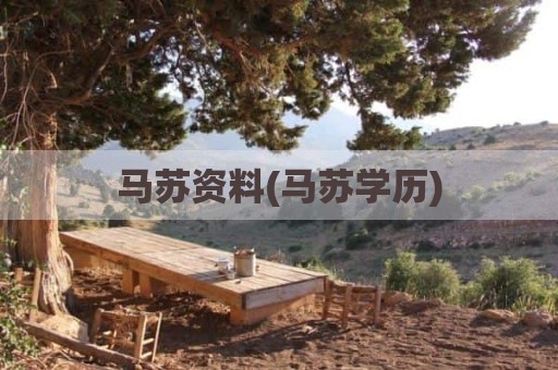 马苏资料(马苏学历)