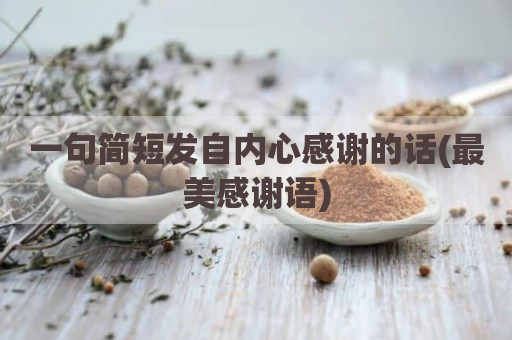 一句简短发自内心感谢的话(最美感谢语)