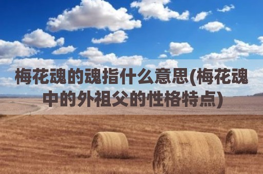 梅花魂的魂指什么意思(梅花魂中的外祖父的性格特点)